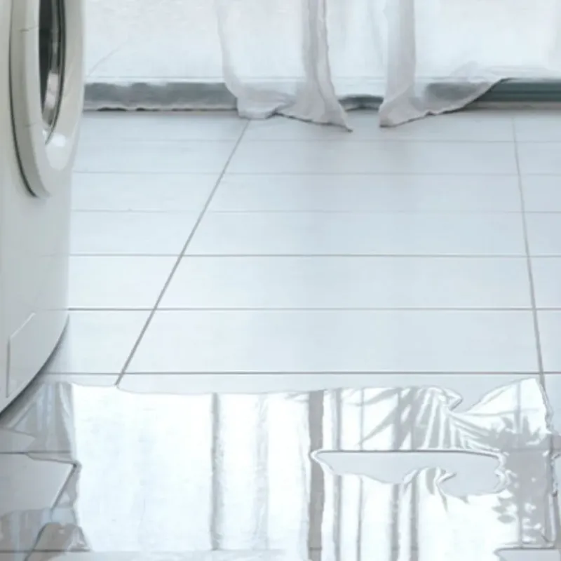 Appliance Leak Cleanup in Malta, IL