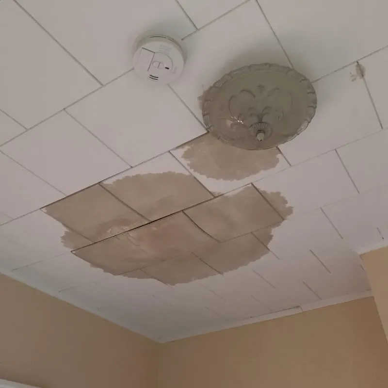 Ceiling Water Damage Repair in Malta, IL